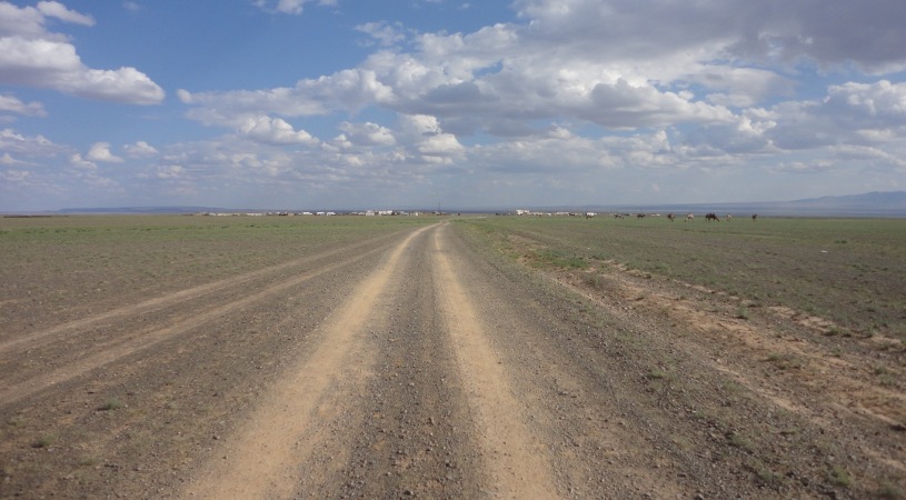 Gobi Road